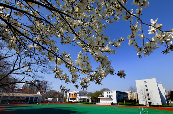 山东省青岛卫生学校风景图二