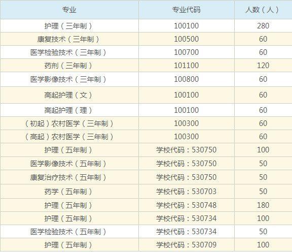 学校代码及招收人数