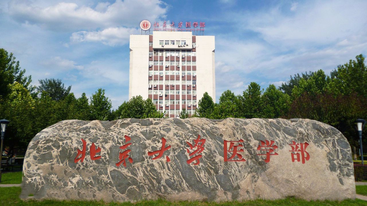 北京大学医学部