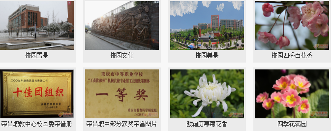 重庆市荣昌区职业教育中心学校环境图片