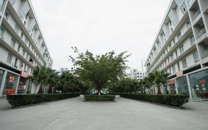 四川省宜宾卫生学校环境图片
