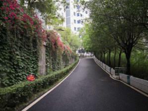 重庆市涪陵创新计算机学校、学校概况介绍