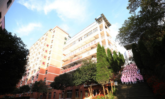 重庆市南丁卫生职业学校
