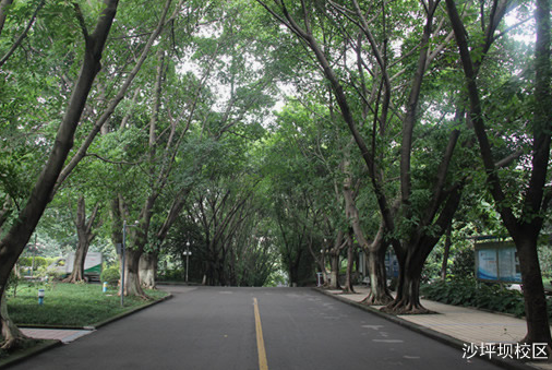 沙坪坝知行卫校好不好、就业率怎么样