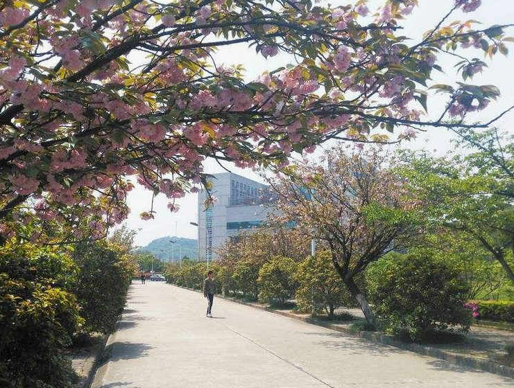 重庆护士学校怎么样、师资力量如何