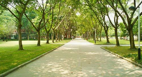 重庆医药学校环境、环境怎么样