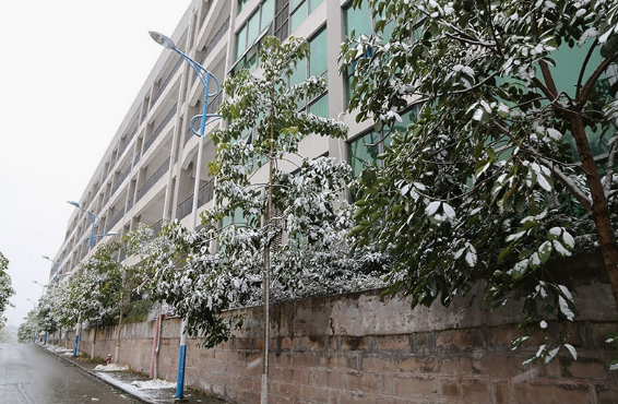 重庆市荣昌区职业教育中心在哪里、学校地址 重庆市荣昌区职业教育中心在哪里、学校地址