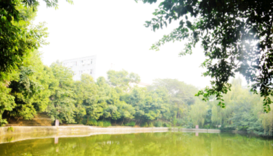 成都华大医药卫生学校怎么样、初中生可以报名么