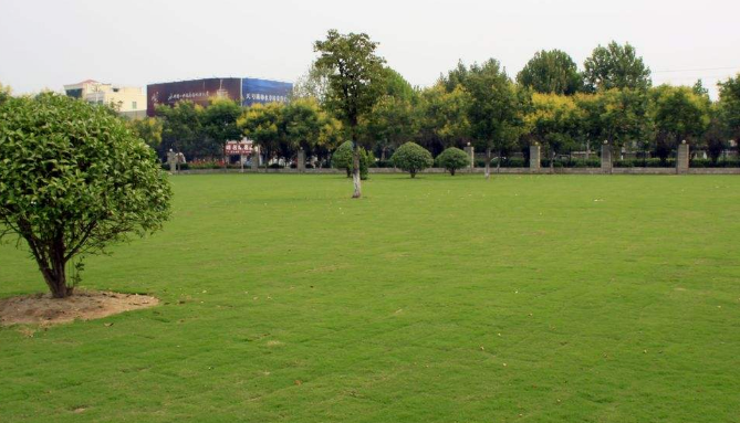 江西中专卫校有哪些、哪些好 江西中专卫校有哪些、哪些好