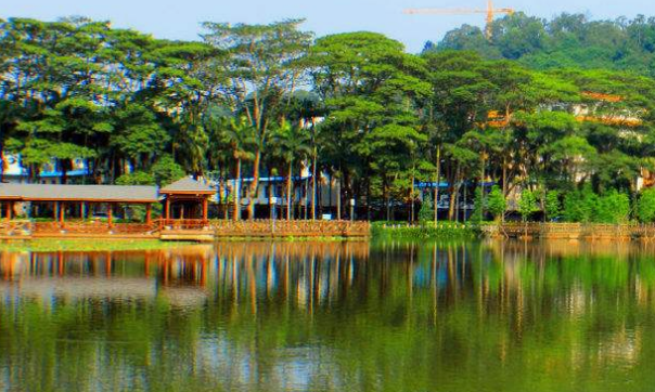 长治卫生学校在哪里、学校地址 长治卫生学校在哪里、学校地址