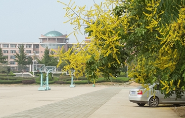 北京大学医学部