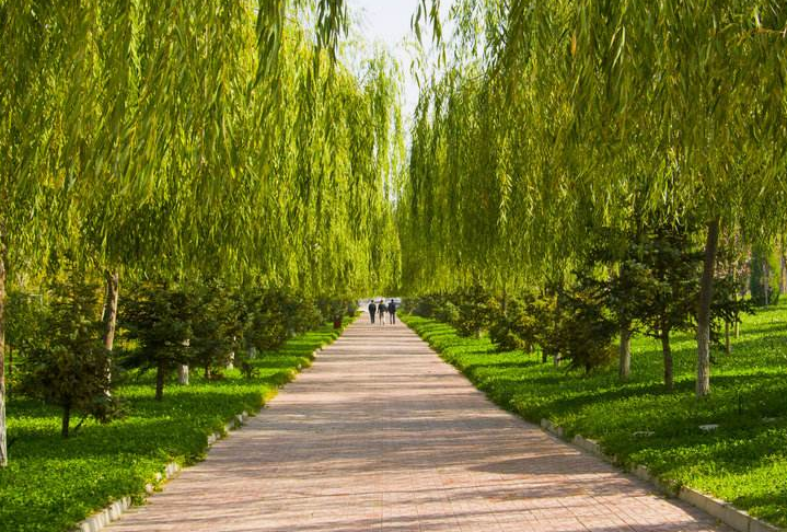 九江市卫生学校怎么样? 九江市卫生学校怎么样?