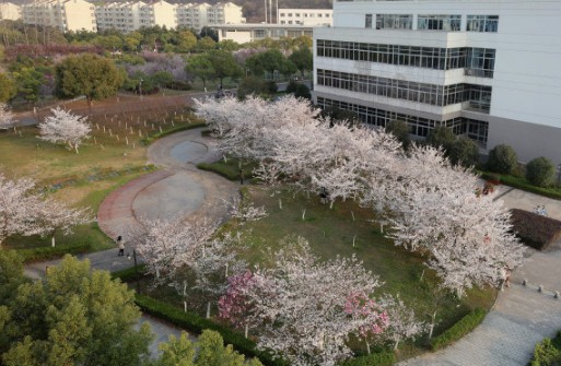 南京中医药大学怎么样、好不好