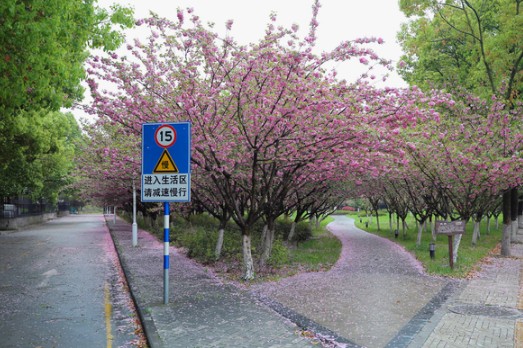 南京中医药大学环境图