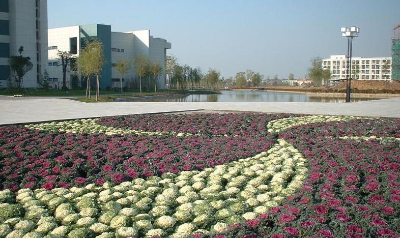 上海市医药学校招生对象、招生要求 上海市医药学校招生对象、招生要求