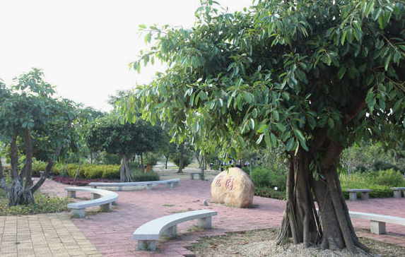 湛江中医学校环境照片、环境怎么样 湛江中医学校环境照片、环境怎么样