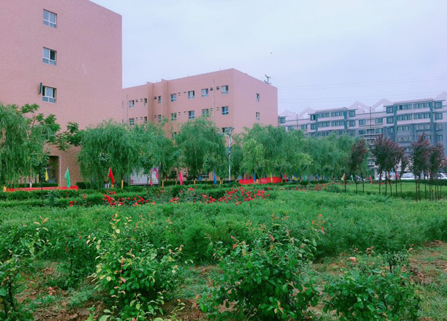 新会卫生学校在哪里、学校地址 新会卫生学校在哪里、学校地址