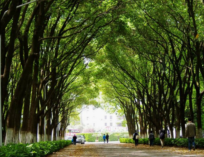 在重庆学医学检验技术好吗? 在重庆学医学检验技术好吗?