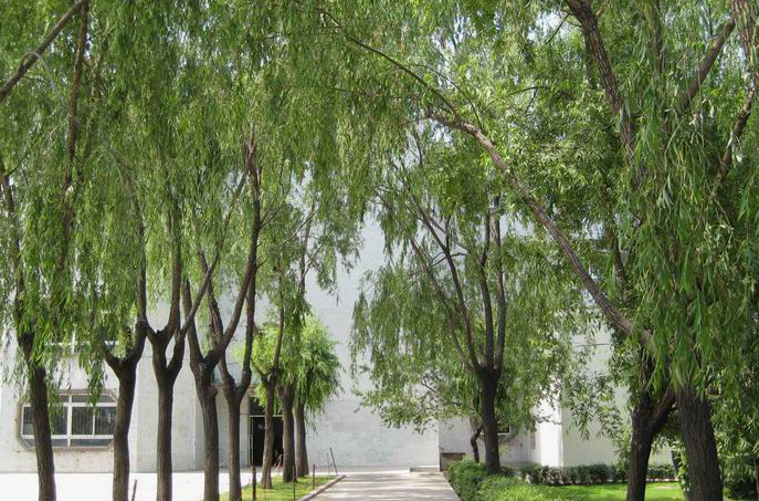 新疆喀什卫生学校环境照片、环境怎么样