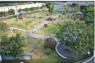 经济校校园一角