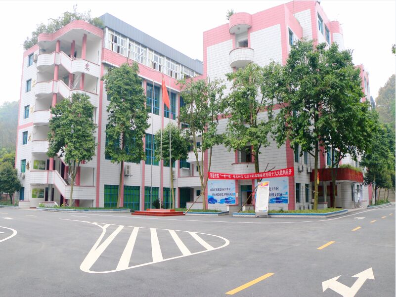 重庆南丁卫生职业学校2020年招生计划