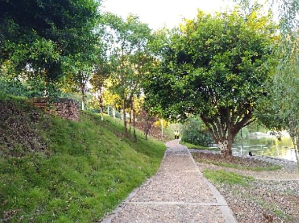 江西省赣州卫生学校校园环境 江西省赣州卫生学校校园环境