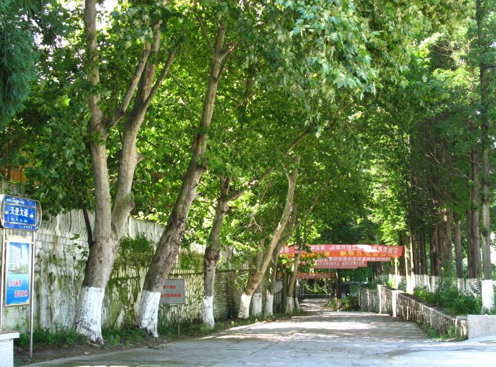 贵州省人民医院护士学校招生、2020年招生 贵州省人民医院护士学校招生、2020年招生