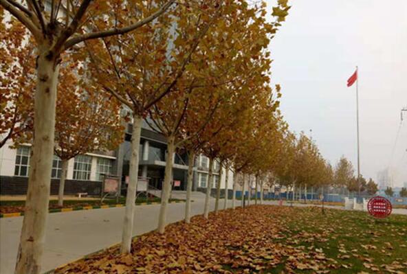 衡水卫生学校2020年招生对象、招生要求 衡水卫生学校2020年招生对象、招生要求