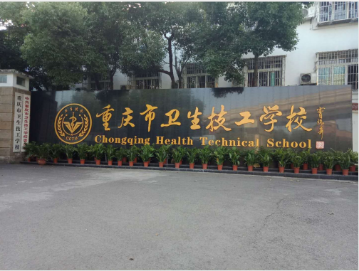 重庆市卫生技工学校分数线