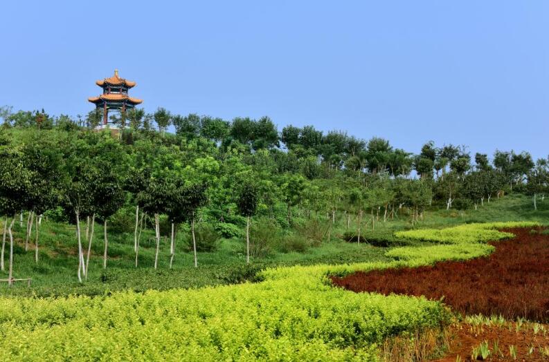 天津中医药大学2020年简介、介绍