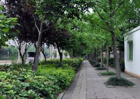 重庆市卫生技工学校