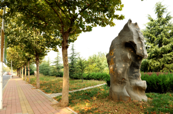 2020年江西的卫校毕业后能当医师吗 2020年江西的卫校毕业后能当医师吗