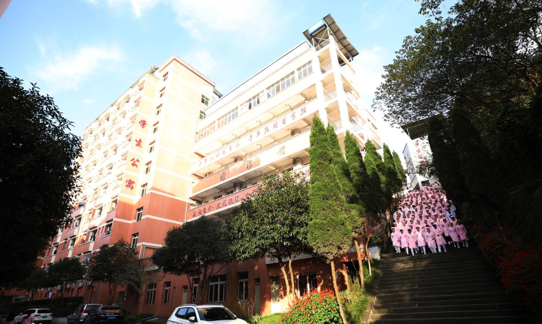 2020年重庆南丁卫生学校是公办还是民办