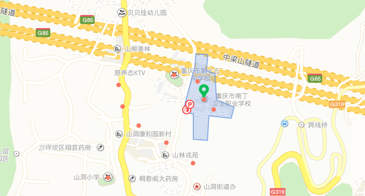 沙坪坝南丁卫校位置