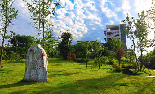 校园一角 校园一角