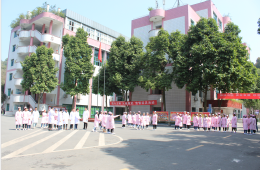 沙坪坝卫校多少分