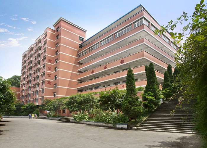 重庆市南丁卫生学校