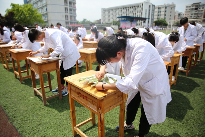 重庆市医药学校