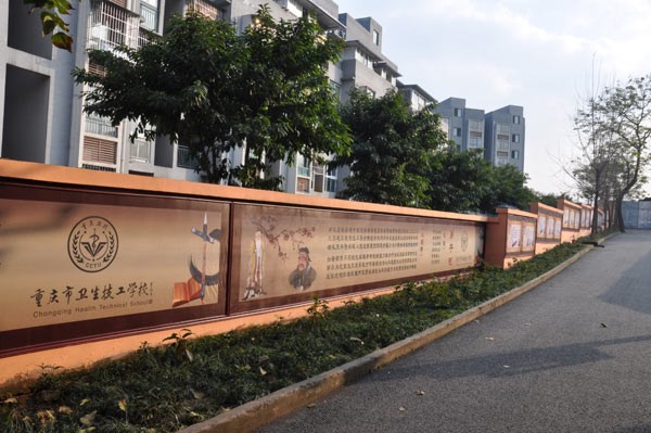 重庆市卫生技工学校、学校概况介绍
