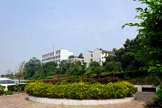 重庆市红春藤技工学校