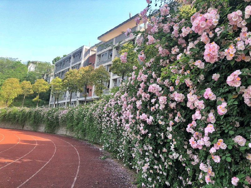 重庆九龙坡职教中心 重庆九龙坡职教中心